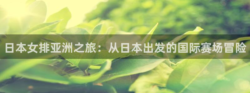 世界杯 2026：日本女排亚洲之旅：从日本出发的国际赛场冒险