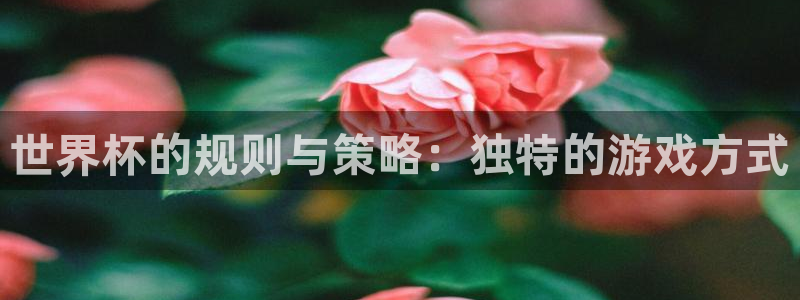 世预赛免费直播入口：世界杯的规则与策略：独特的游戏方式