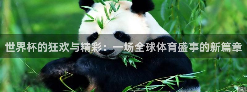 今年的世界杯：世界杯的狂欢与精彩：一场全球体育盛事的新篇章