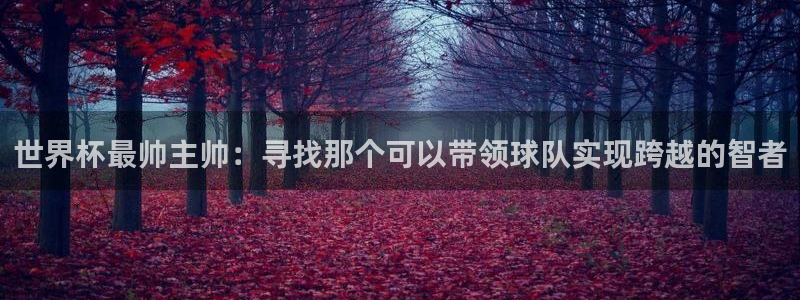 今年世界杯：世界杯最帅主帅：寻找那个可以带领球队实现跨越的智者