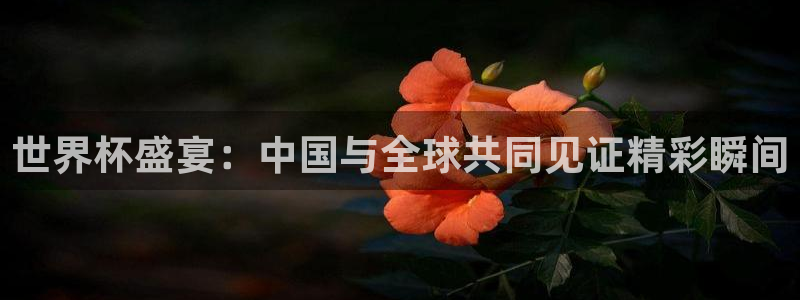 世界杯转播表：世界杯盛宴：中国与全球共同见证精彩瞬间