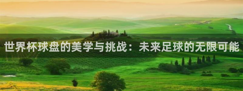 世界杯附加赛赛程表：世界杯球盘的美学与挑战：未来足球的无限可能