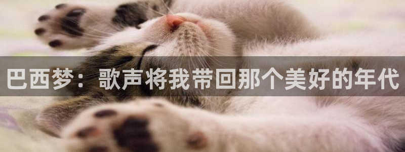 欧洲世界杯预选赛：巴西梦：歌声将我带回那个美好的年代