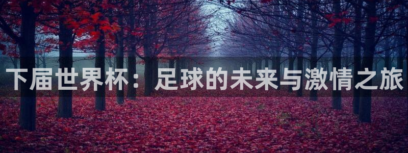 世界杯足球赛2026赛程时间：下届世界杯：足球的未来与激情之旅