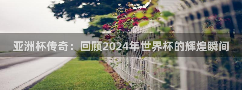 世界杯系列赛：亚洲杯传奇：回顾2024年世界杯的辉煌瞬间