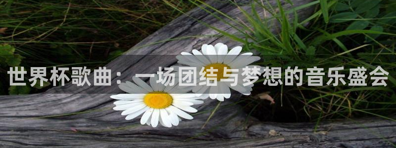 世界杯预选赛2026：世界杯歌曲：一场团结与梦想的音乐盛会