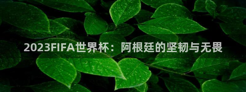 2026男足世界杯：2023FIFA世界杯：阿根廷的坚韧与无畏
