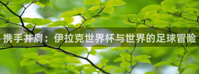 2006年世界杯冠军：携手并肩：伊拉克世界杯与世界的足球冒险