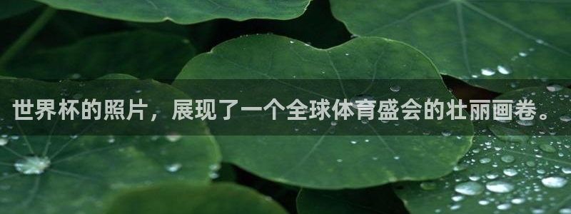 2026世界杯买球：世界杯的照片，展现了一个全球体育盛会的壮丽画卷。
