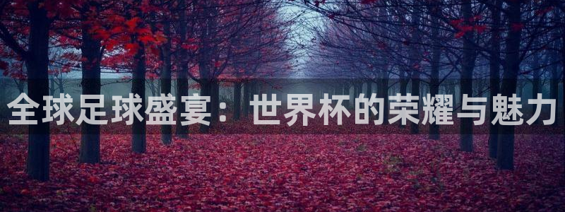 2026年男足世界杯：全球足球盛宴：世界杯的荣耀与魅力