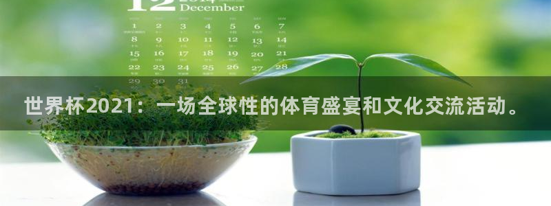 今年世界杯：世界杯2021：一场全球性的体育盛宴和文化交流活动。