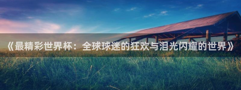 世界杯足球：《最精彩世界杯：全球球迷的狂欢与泪光闪耀的世界》